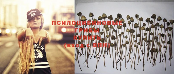 спайс Заволжск