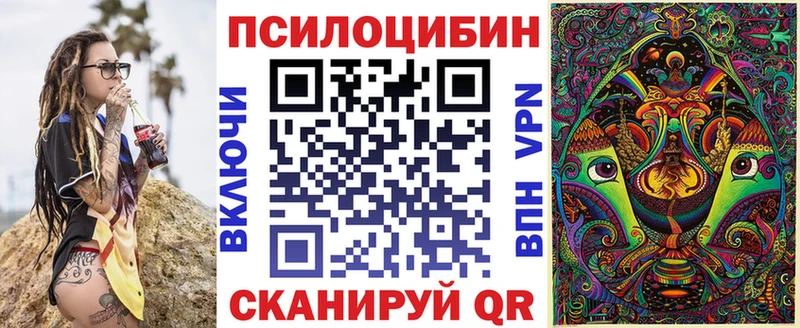 Псилоцибиновые грибы Cubensis  Купить где  Чулым 